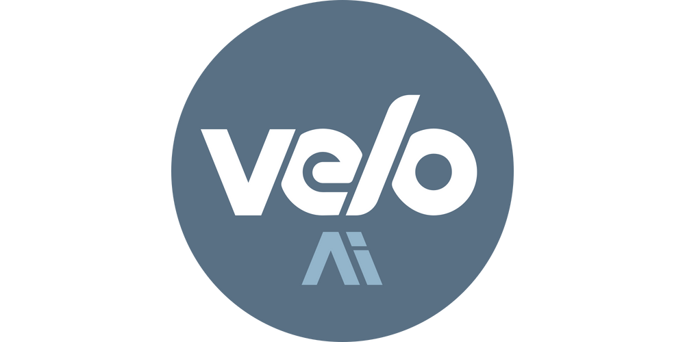 velo.ai-logo---alison-treaster.png